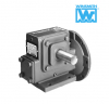 Редуктор 926MWNS063X0B7 Winsmith