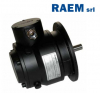 Сервомотор DTFRB11/6 RAEM srl