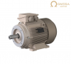 3M0SG3E-16LK20TT0 двигатель IE3 22kW 3000rpm, GG20 160LK2, 3Ph 50Hz 400V/690V D/Y, IMB34 OMEGA MOTOR