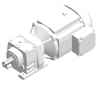  R37 DRN100LS4/TF (из 30.7759297001.0001.19) мотор-редуктор SEW