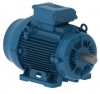 Двигатель  W22Xn IE1 55 kW 6P 250S/M 3Ph 440 V 60 Hz IC411 - TEFC - B3T 12977223  WEG