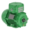 Двигатель W22Xd IE3 1.1 kW 6P 100L 3Ph 220-240/380-415//460 V 50 Hz IC411 - TEFC - B3T