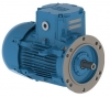 Двигатель W22 225S/M 45kW 2Пол B3T 380-415/660//440-460В 50Гц IE2 IP55 Opc WEG