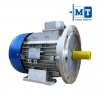 Электродвигатель TN56 4P 0.11kW V230/400-50Hz B14 M.T. Motori elettrici