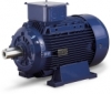 Промышленные асинхронные электродвигатели Marelli Motori