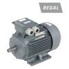 Электродвигатели серии HJA Dutchi Motors/Regal