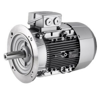 Мотор 1TZ95(180M) 11 KW 725 TM 400/690V B35 Mez Belgium