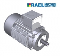 Двигатели ATEX Rael srl