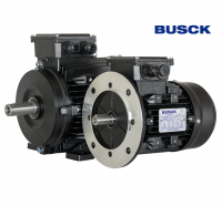 Электродвигатели Busck