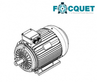 MF250B6IE3 двигатель 250kw Focquet 