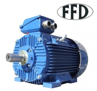 Двигатель 2SIE180L4 # AG500244 FFD / Frank & Dvorak