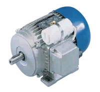 Асинхронный трехфазный электродвигатель MM90Sa4 Carpanelli