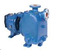 Бессальниковые промышленные насосы ITT Goulds pumps