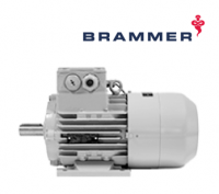 Двигатели с тормозом Brammer