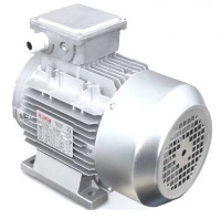 Электродвигатель 7T2 160M4 KW11 P4 400/690V-50HZ B3 IE2  ELVEM