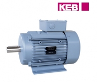 Трехфазный двигатель IE3 DM100LB4 + шестерня KEB