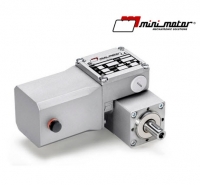 Мотор-редуктор BCE-2000T # 1124323 Mini Motor