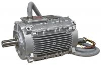 Двигатель дымоудаления серий LSHT/FLSHT Leroy Somer