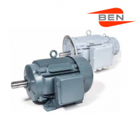 Электродвигатель KDF225M12/4 6,2/18,5кВт490/1480об/мин 380В IMV1 IP55 BEN Buchele Elektromotorenwerk