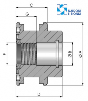 NBPAFR000100 Самоблокирующийся демпфирующий поршень гидроцилиндра Naldoni e Biondi S.r.l.