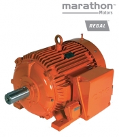 Двигатель 2110343021022 DM1-IE2 200 Marathon/Regal