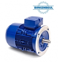 Двигатель 6APE90L-4-IE2-IMB14/140 Birkenbuel