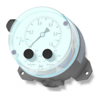 DS1102VDYYBKYY00D0062  Манометр Fischer