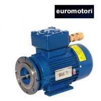 Электродвигатели Euromotori Macherio