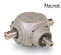 RA2080-D-2-AYW-03-PAM WITH FLANGE FM-1,5/2-AX160 Редуктор Marzorati Sistemi di Trasmissione Srl