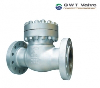 Обратные клапаны CWT/Cana West Technologies Inc