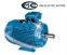 Двигатели IE4 с постоянными магнитами серии TYJX  OME SRL